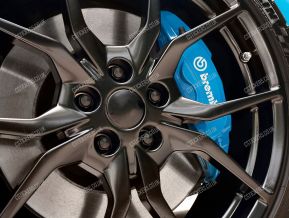 Brembo Stickers for Ford Brake Calipers