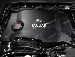 Jaguar Racing Sticker for Engine Cover